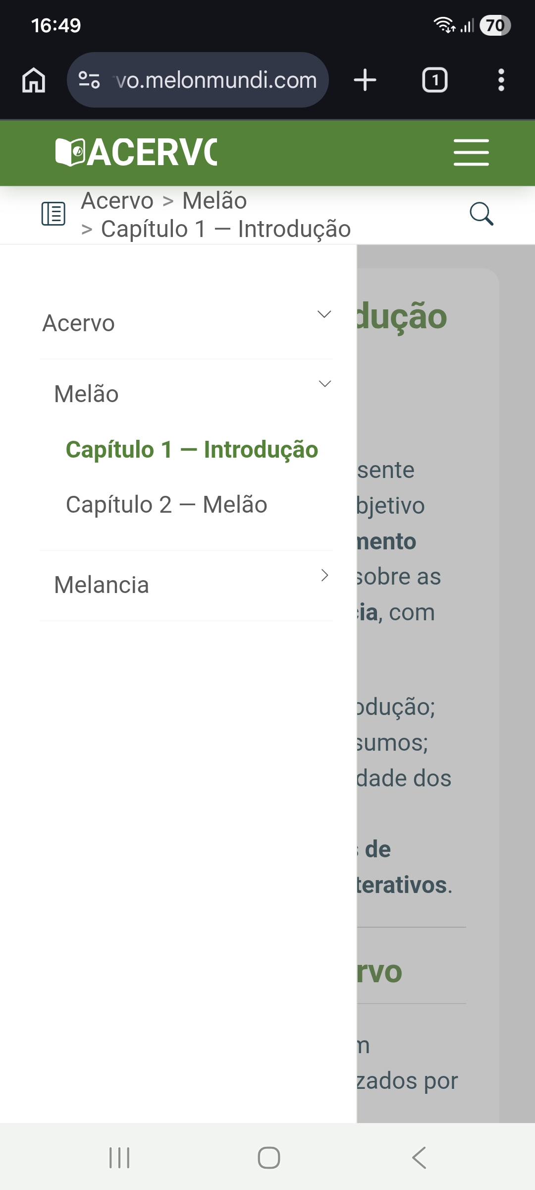 Tela do Acervo MelonMundi